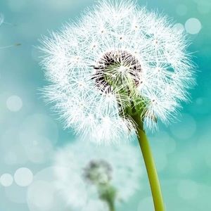 Meet your Posher, Claudia